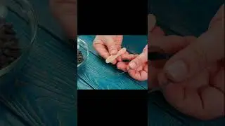 A way to clean seeds quickly
