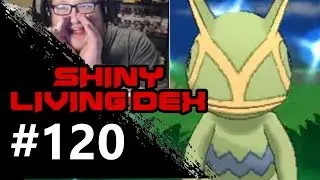 RACING WITH ME!!! Live Shiny Kecleon Reaction! | Shiny Living Dex: 120/807 | Pokemon XY