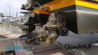 CleanAHull Ultrasonic Antifouling after 12 Months