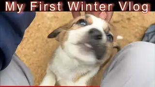 My First Winter Vlog😀#dailyvlog #germanshepherd #dog #funny #dailyvlog 