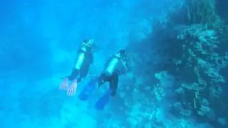 Panasonic DMC FT5  Под водой. Underwater. Red Sea.