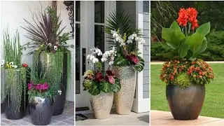Transform Your Garden with Unique Planter Designs||Charming Garden Planter Ideas for Every Space