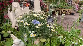 Smart Garden Solar Powered Flutterby Butterfly