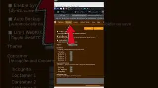 Настройка FoxyProxy для Burp Suite