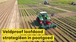 Loofdodingstechnieken vergelijken in meerjarige proef