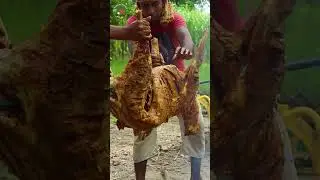 OMG! Full GOAT Kabab In Village
