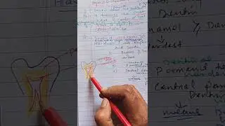 Hardness of Dentin#dentin #dental #bds #dentalanatomy #shorts #utubeshorts