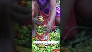 Please check out my channel for more Ha&iuml;ti content🇭🇹 #haitiancreator #haiti