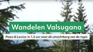 Wandelen in Valsugana: tocht naar Pizzo di Levico, wat een uitzicht! #vakantie #italie #zomer #tip
