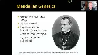 ANTHR 1-Ch 4-02 Mendelian Genetics