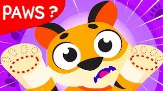 Where Are My Tiger Paws?  🐯 Can You Help Baby Tiger Find His Paws❓ Tiger Stripes by Little Angel