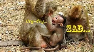 SAD...CRY-CRY this video, Breaking heart see baby Maci cry-cry loudly till quiet sound, Mom careless