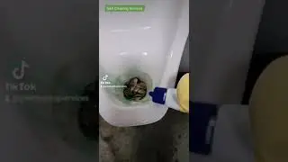 zep Acidic Toilet bowl cleaner