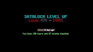 Hypixel Skyblock level 480 under 200 hours