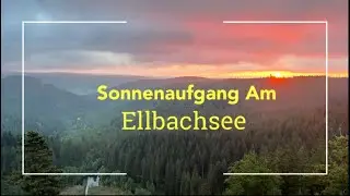 Sonnenaufgang im Schwarzwald | Der Ellbachsee | Phil Goes Traveling