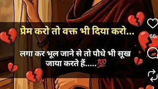 good night all friends 😴💤