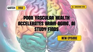Poor Vascular Health Accelerates Brain Aging, AI Study Finds