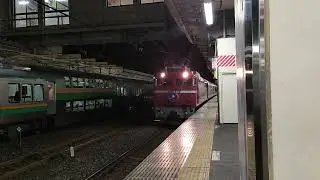 【少し久々にパーマル牽引】カシオペア紀行　青森行き　EF81-80牽引+E26系 12B 小山駅通過シーン