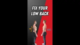 Lower Traps & Rear Delts - Exercise & Strengthen Posture (Part II): The Chest / Back #stretching