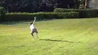 Cheat720 twist attempt