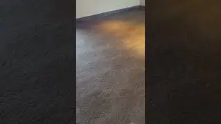 Restaurant Carpet Cleaning in Phoenix, AZ