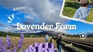 New Zealand South Island Travel Guide | Wanaka Lavender Farm Winter| Alpacas and other Farm Animals
