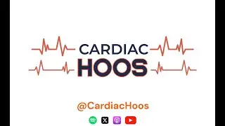 Virginia Basketball Takes on the ACC Regular Season