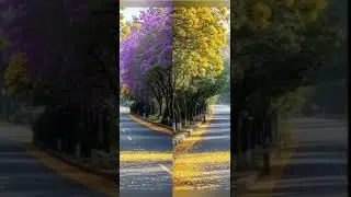 سورة المائدة - مرتل - الشيخ مصطفى السيسي