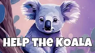 HOW You Can Save the Koala | Animal Spotlight