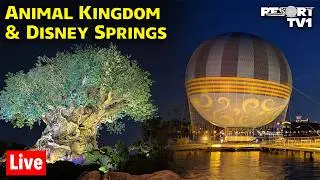 🔴Live: Friday Night Live at Animal Kingdom & Disney Springs - 2-6-26 - Walt Disney World