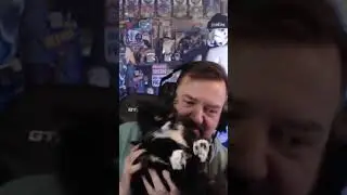 kitteh | #stewpidasoe on #Twitch