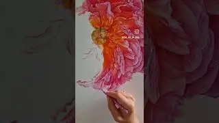 Drawing a Peony with Coloured Pencils #drawing #flower #realisticdrawing #art #artist