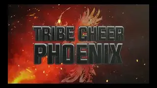 Tribe Cheer Phoenix 2024-2025