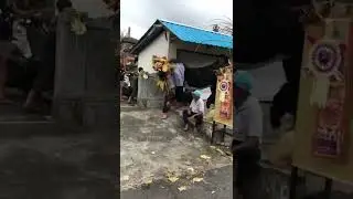 Barong bangkung gercep dari Sembung