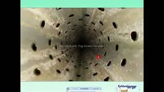 formation damage