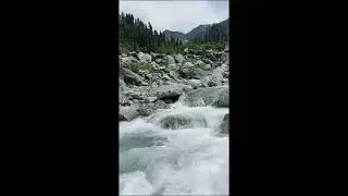 #brajo #banda #viw  #viral #viralvideo #nature #youtubeshorts #youtubevideos#foryou