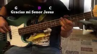 Gracias - Bajo