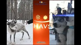 Pitehavsbad winter