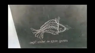 easy method for drawing fish