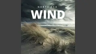 Tranquil Winds