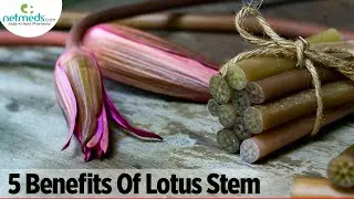 5 Incredible Benefits Of Lotus Stem
