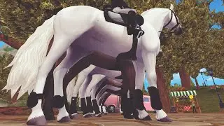 A Doom Hunters dressage lesson||A free dressage at the Druid Paddock||