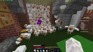 Wallibear and Zyph Crash Hypixel Bedwars