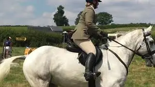 1m working hunter class