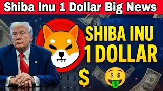 Big News 😀 Shiba inu coin news today ! Financial analyst crypto stocks trading bitcoin update today 