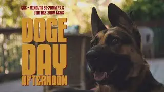 Doge Day Afternoon (GH5 + Minolta 35-70mm f/3.5 Vintage Zoom Lens)