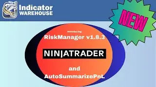 NinjaTrader RiskManager and AutoSummarizePnL