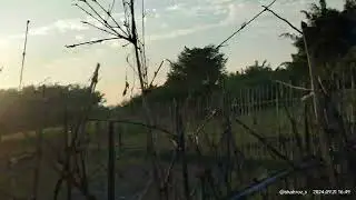 Desi jugar in motorcycle 🏍️ in bringal farming 💪 #support #plz_subscribe_my_channel #farming