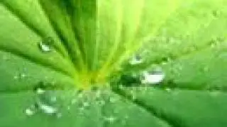 J-Nash - Feeling