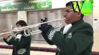 Mariachi | Clubs